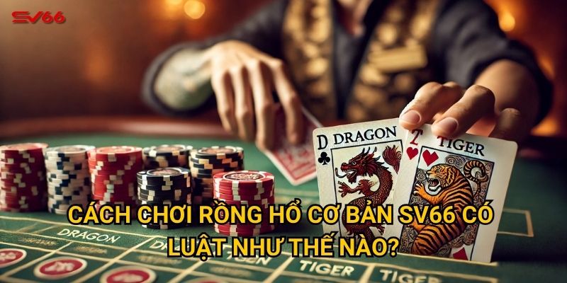 Tại sao cần học cách chơi rồng hổ cơ bản trước khi tham gia SV66? 2 Cách chơi rồng hổ cơ bản SV66 có luật như thế nào?